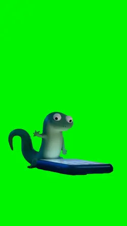 lizard