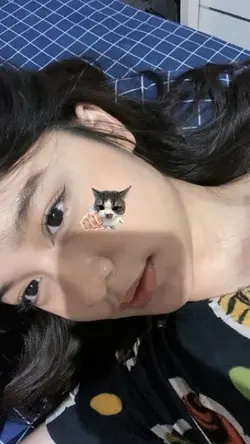 stiker kucing