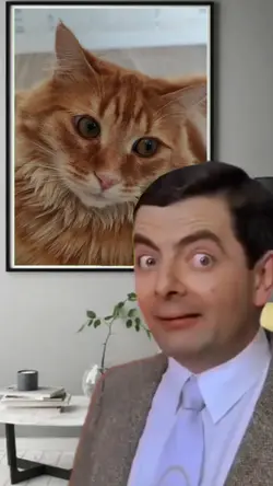 Mr Bean