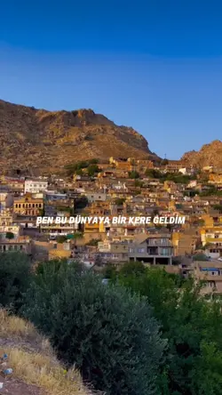 Yeni şablon 