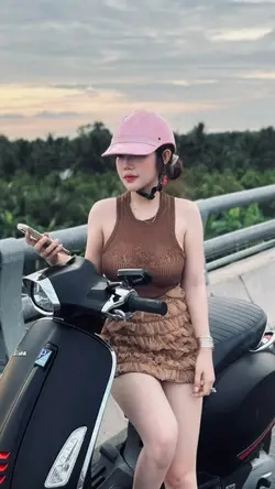 Trình chiếu