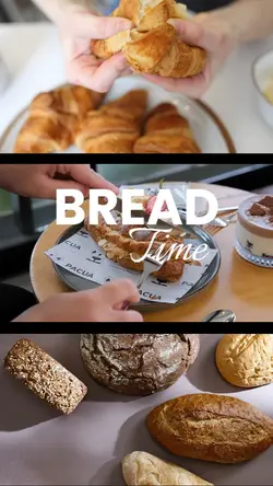 Bread