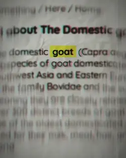 Goat Newspaper 