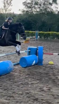 Jumping 90cms 