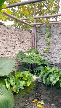 from this to this