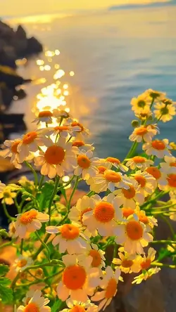 Flowers 💐