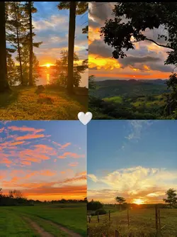 Atardecer 