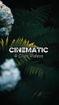 4 CLIPS VIDEOS