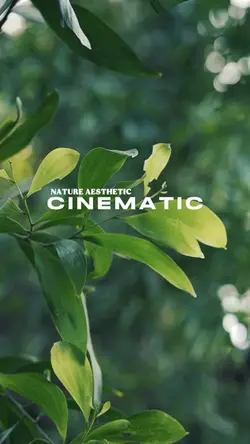 Nature Cinematic Aes
