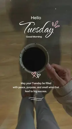 Hello Tuesday ❤️