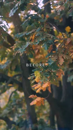Before Vs After