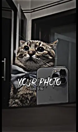 Your Photo