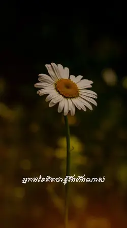 ខ្ញុំហត់ណាស់...