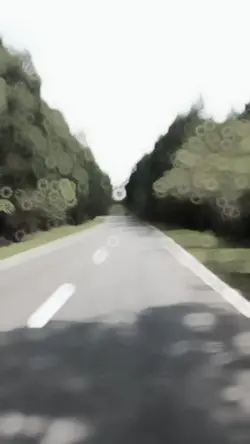 Travel Slow Template