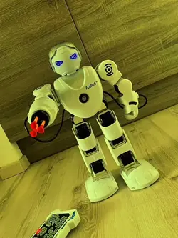 Edit robot