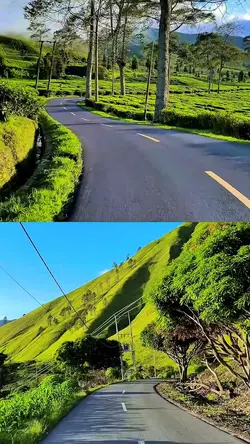 split screen story