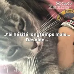SIGNEZ LES KK
