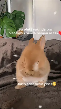 Kar efekti geldi!
