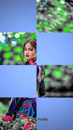 ভাইরাল ভিডিও 