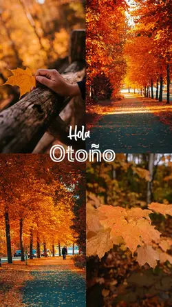 Hola Otoño 