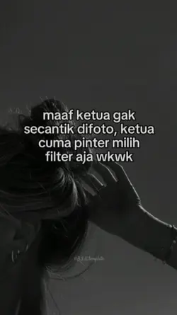 pinter milih filter 