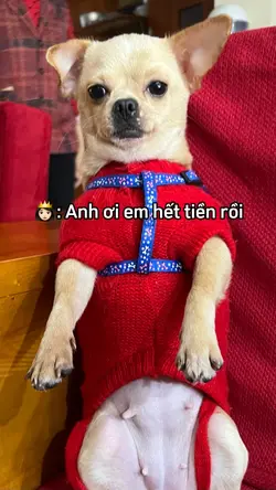 Ngày em tới =))