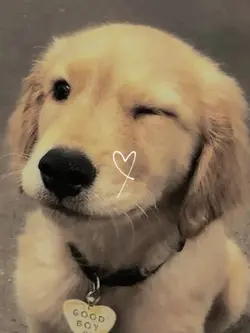 Doggy