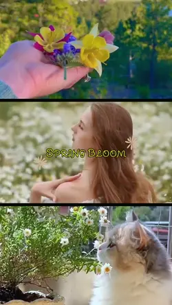 Spring bloom