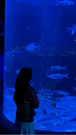 Aquarium date