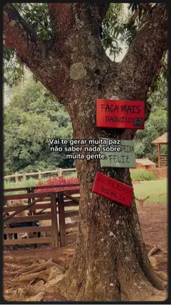 Status 