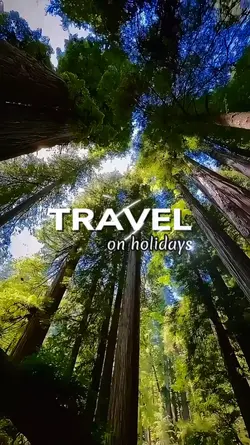 TRAVEL on Holiday