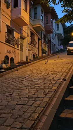 yollarıma çıkma 