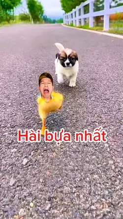ghép hài bựa 