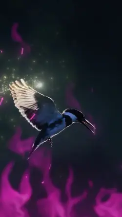 BEAUTIFUL NATURE 