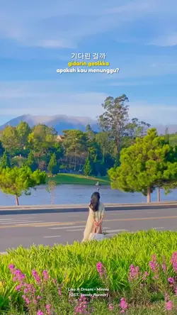 Like a dream