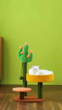 Pet Supplies