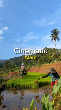 Cinematic alam reels