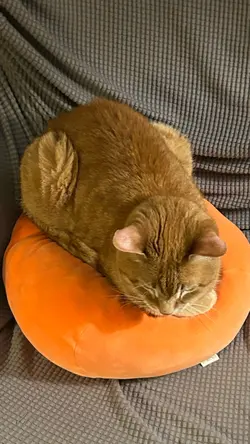 OSCAR