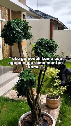 sikattt,,