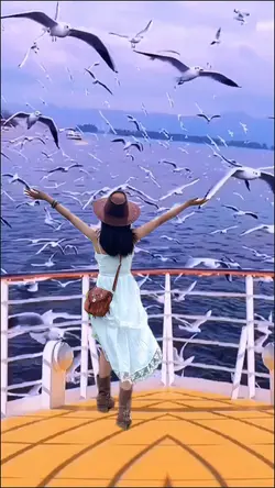 Seagulls