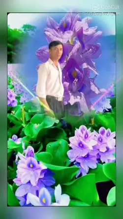 ảnh đẹp xuân thành