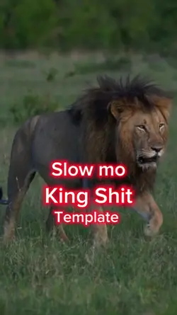 King Shit Template 