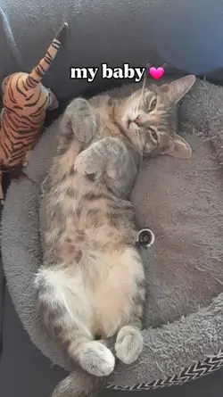 my baby