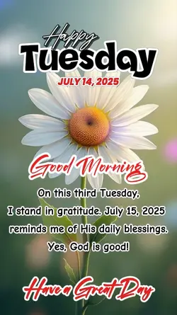 happy Tuesday 