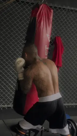 🥊 BOX 🥊