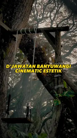 D’JAWATAN 