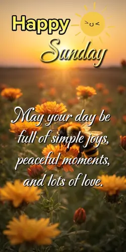 Happy Sunday