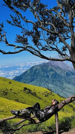 JJ NAIK GUNUNG