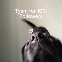 100 followers!!