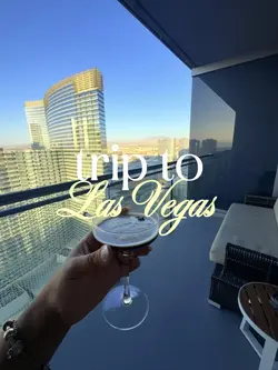 Trip to Las Vegas